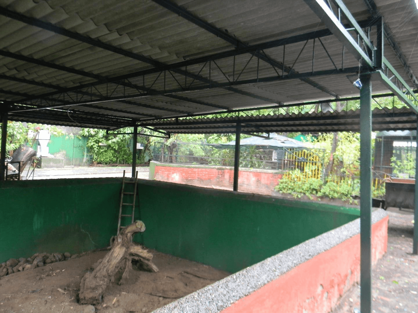 Rat Snake Enclosure Renovation for Indian Herpetological Society KEPL